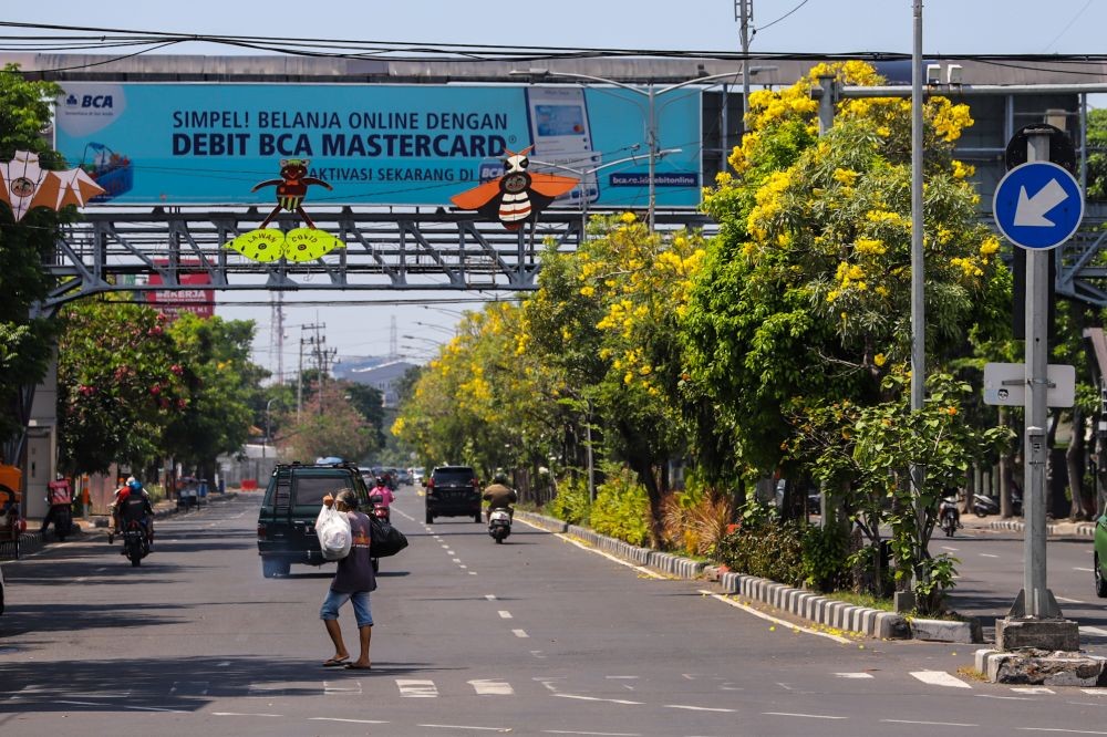 Tabebuya Kuning Ikut Meriahkan Lebaran di Kota Pahlawan