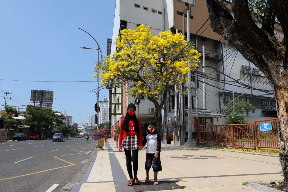 Tabebuya Kuning Ikut Meriahkan Lebaran di Kota Pahlawan