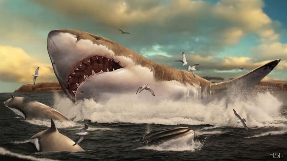 7 Jenis Hiu Purba Paling Mengerikan, Lebih Seram daripada Dinosaurus