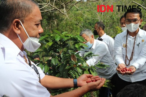 Kopi Arabika dari Desa Dombu Sigi Tembus Pasar Jepang dan Dubai