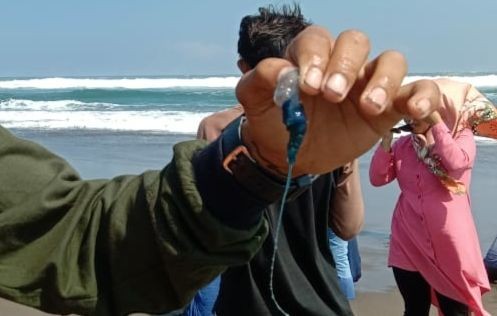 Belasan Wisatawan Pantai Gunungkidul Tersangat Ubur-Ubur beracun