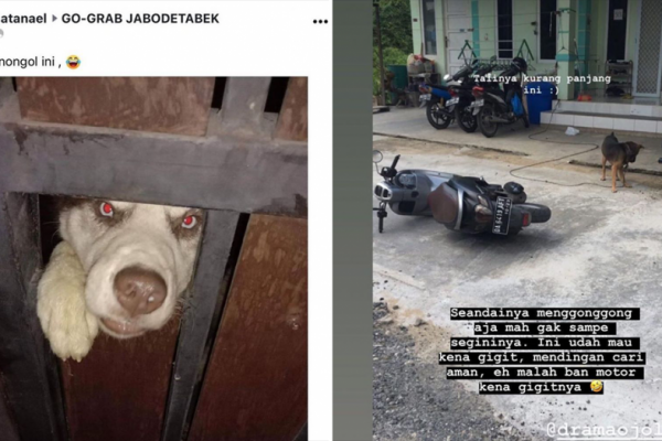 Mau Ketawa Tapi Kasihan, 10 Momen Driver Ojol Ketemu Anjing