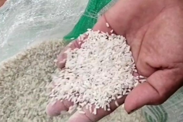 Viral Video Beras Bantuan BPNT Berkutu di Tuban, Ini Kata Camat Widang