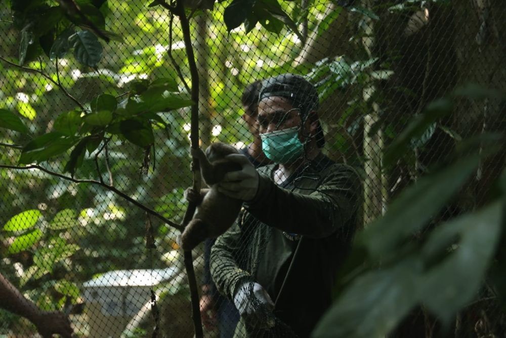 Kebun Raya Cara ITERA Komitmen Cegah Kepunahan Biodiversitas Sumatra