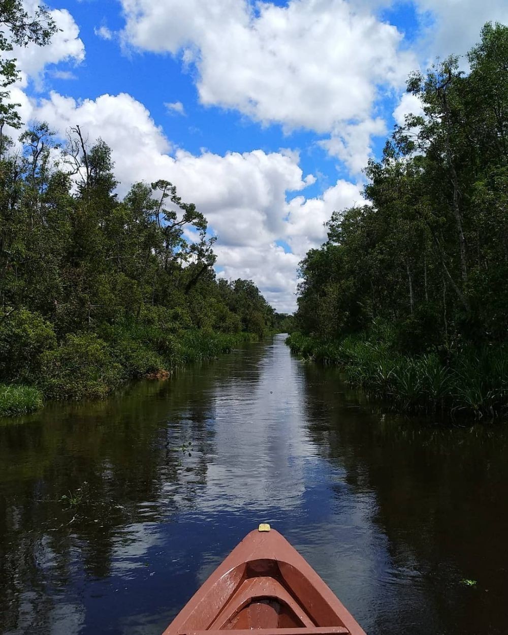 10 Sungai Paling Bersih di Indonesia, Pesonanya bak Luar Negeri