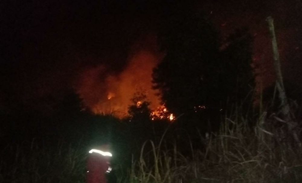 [BREAKING]  2 Hektare Lahan Mineral di Ogan Ilir Sumsel Terbakar