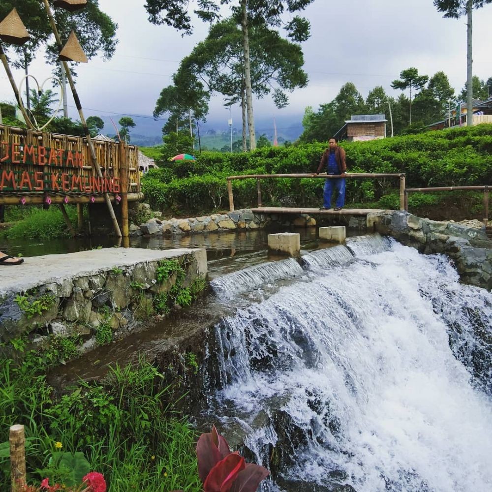 10 Sungai Paling Bersih di Indonesia, Pesonanya bak Luar Negeri