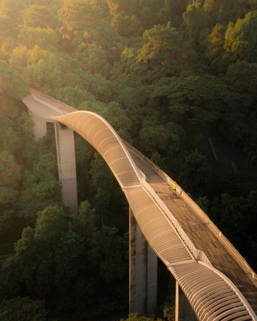 10 Jembatan dengan Desain Paling Unik di Dunia, Estetik Abis!