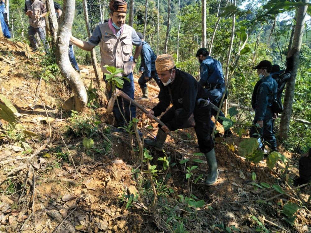 KLHK Tutup Lubang Tambang Ilegal di Hutan Adat Baduy