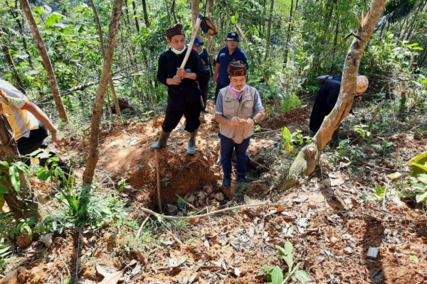 KLHK Tutup Lubang Tambang Ilegal di Hutan Adat Baduy
