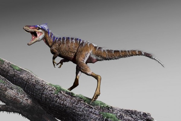 Hebat! 7 Hewan Ini Berhasil Bertahan Hidup saat Kepunahan Dinosaurus