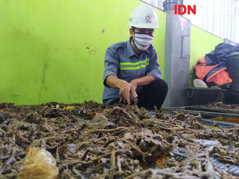 10 Potret Budidaya Maggot, Si Mutiara Hitam yang Digandrungi Peneliti Unnes