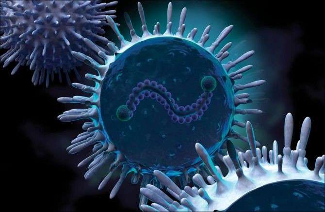 Respiratory Syncytial Virus: Penyebab, Gejala, Pengobatan