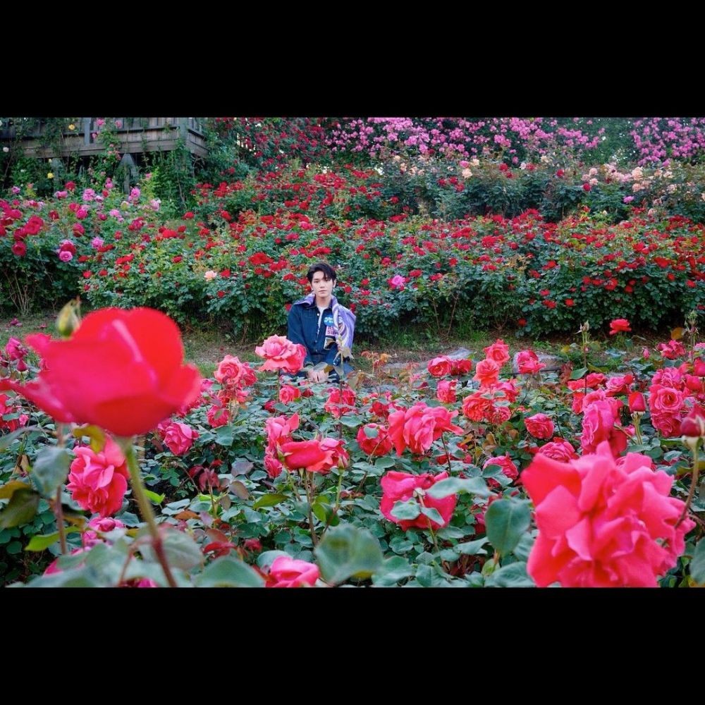 10 Potret NCT Taeyong dengan Bunga Mawar, Bakal Ada Apa Nih?   
