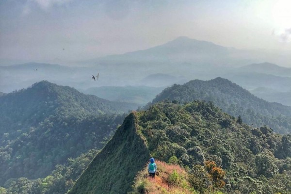Pemandangan luas Gunung Kerenceng dengan jalur pendakian yang meliuk melalui hutan tropis yang lebat, menampilkan keindahan alam yang asri