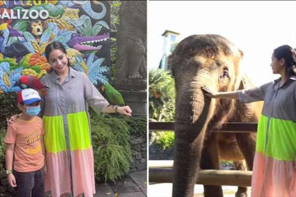 Sewa Kebun Binatang di Bali, 9 Momen Nagita Slavina Ngidam Lihat Gajah