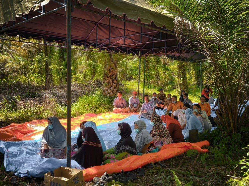 Pemkab Tapsel Tanam 2.000 Bibit Durian
di Dekat Kawasan Hutan Lindung