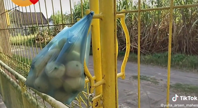 Viral, Anak SD Tinggalkan Secarik Pesan di Pagar: Boleh Minta Jambu?