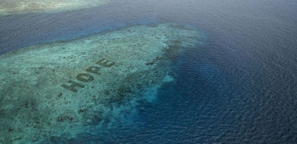 Hope Reef di Pangkep, Upaya SHEBA Pulihkan Ekosistem Laut Spermonde