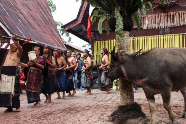 5 Rangkaian Upacara Adat Batak yang Perlu Kamu Tahu