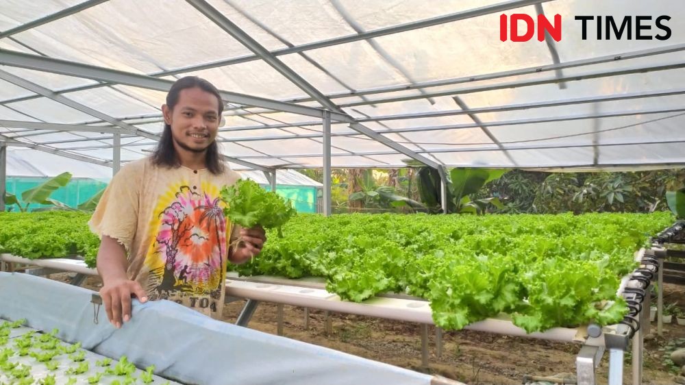 Cerita Millennials Pilih Jalan Ninja Tekuni Urban Farming Hidroponik
