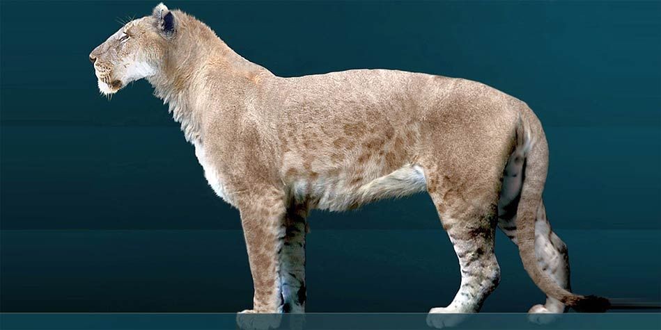 7 Spesies Kucing Purba Bertubuh Besar, Predator Tangguh di Masanya
