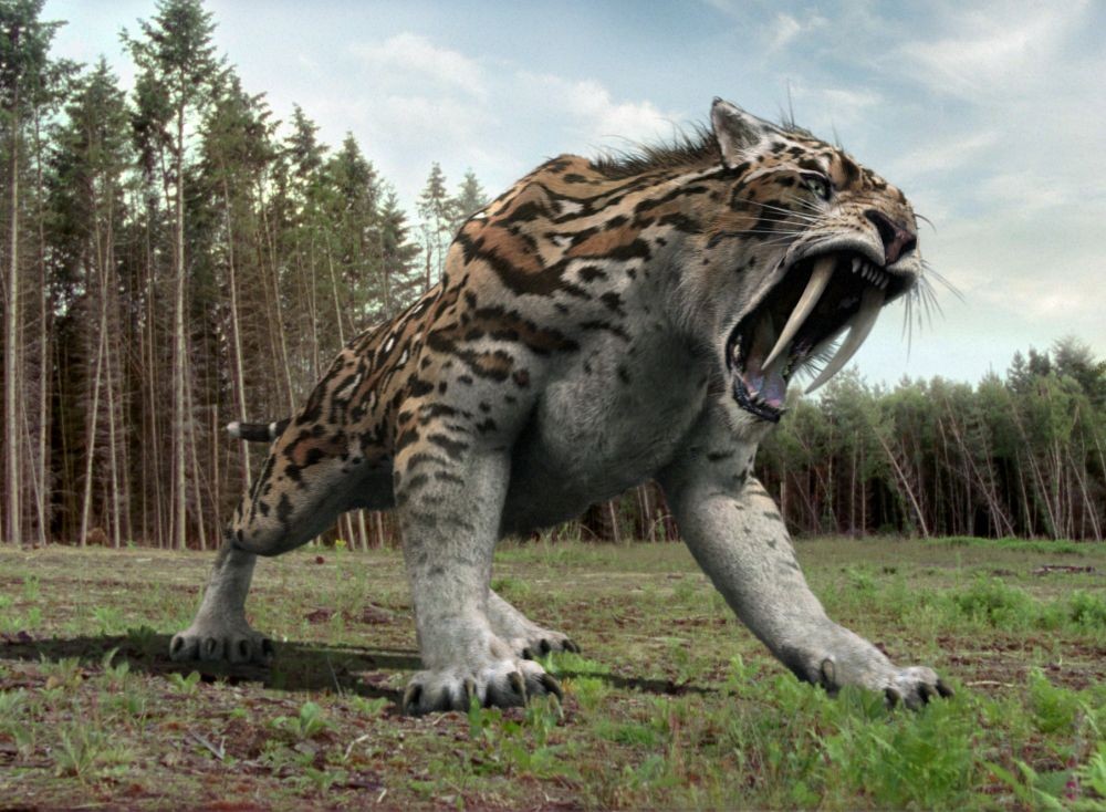 7 Spesies Kucing Purba Bertubuh Besar, Predator Tangguh di Masanya