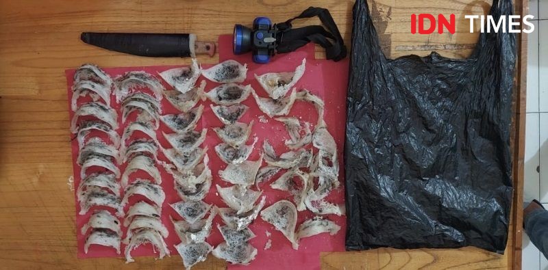 Polisi Ringkus Pria Pencuri Sarang Burung Walet di Penajam Paser Utara