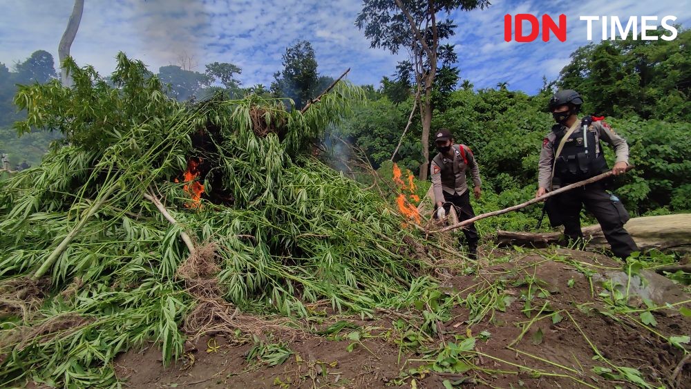 Kisah Adly, Mantan Pemakai Kini Jadi Konselor Rehabilitasi Narkoba