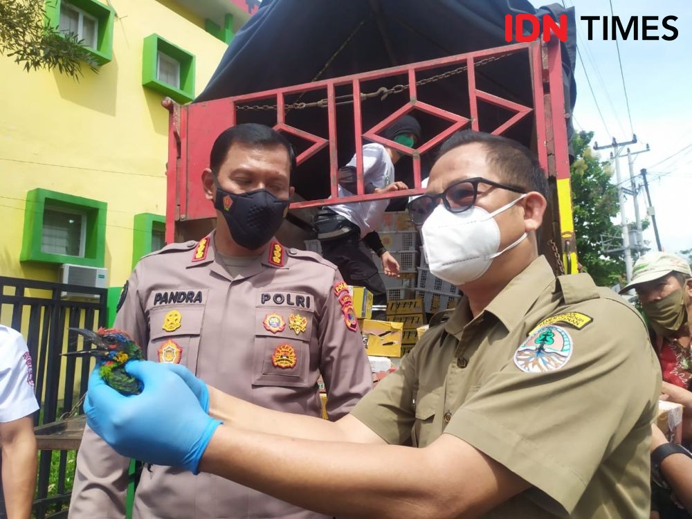 Catatan Panjang Pengungkapan Penyelundupan Burung di Provinsi Lampung