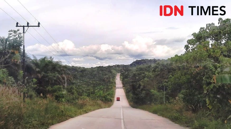 Syukuran Pembangunan IKN, Jokowi akan Berkemah di Kota Nusantara
