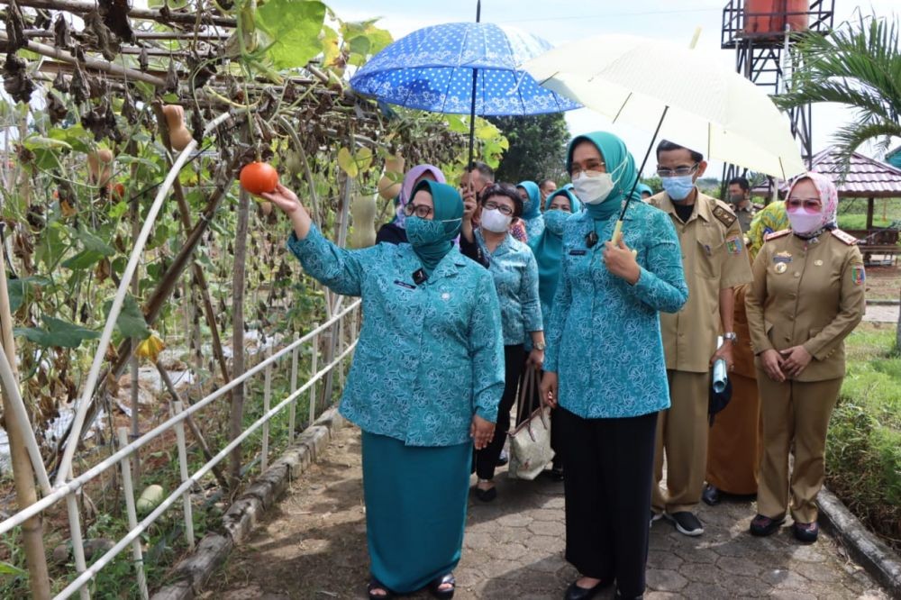 Wajah Baru PKK Agropark Sabah Balau Lamsel, Wisata Edukasi Keluarga