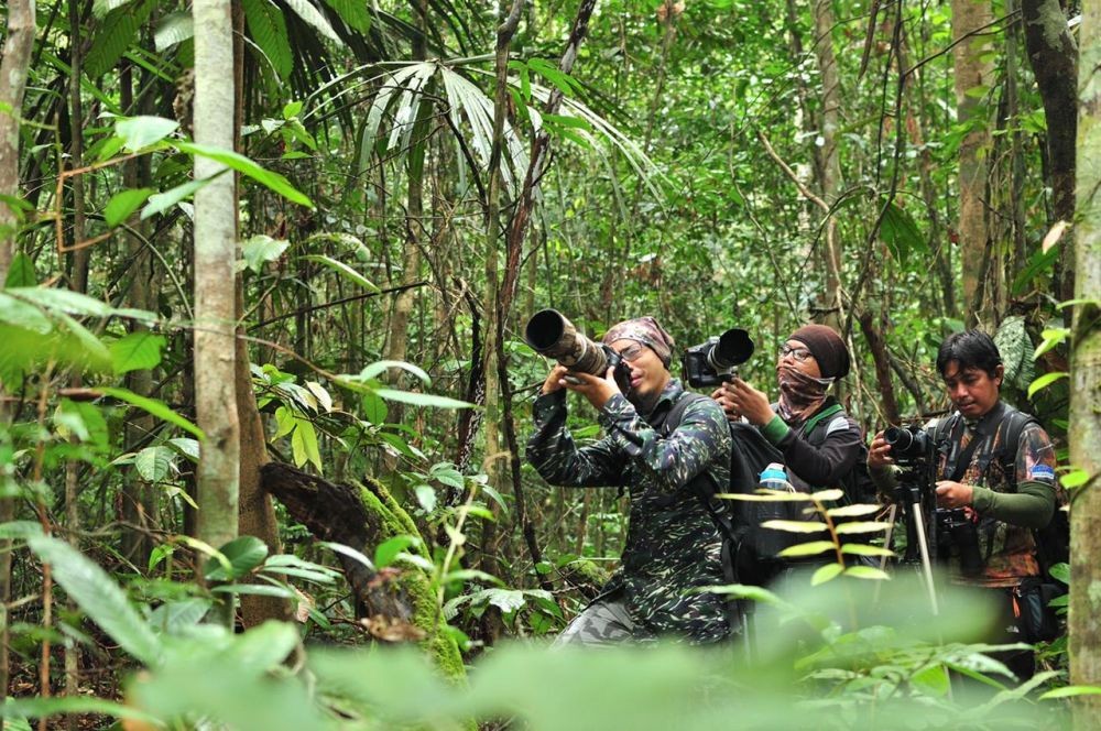 Pertamina Jelajahi Keanekaragaman Hayati Sungai Wain di Balikpapan