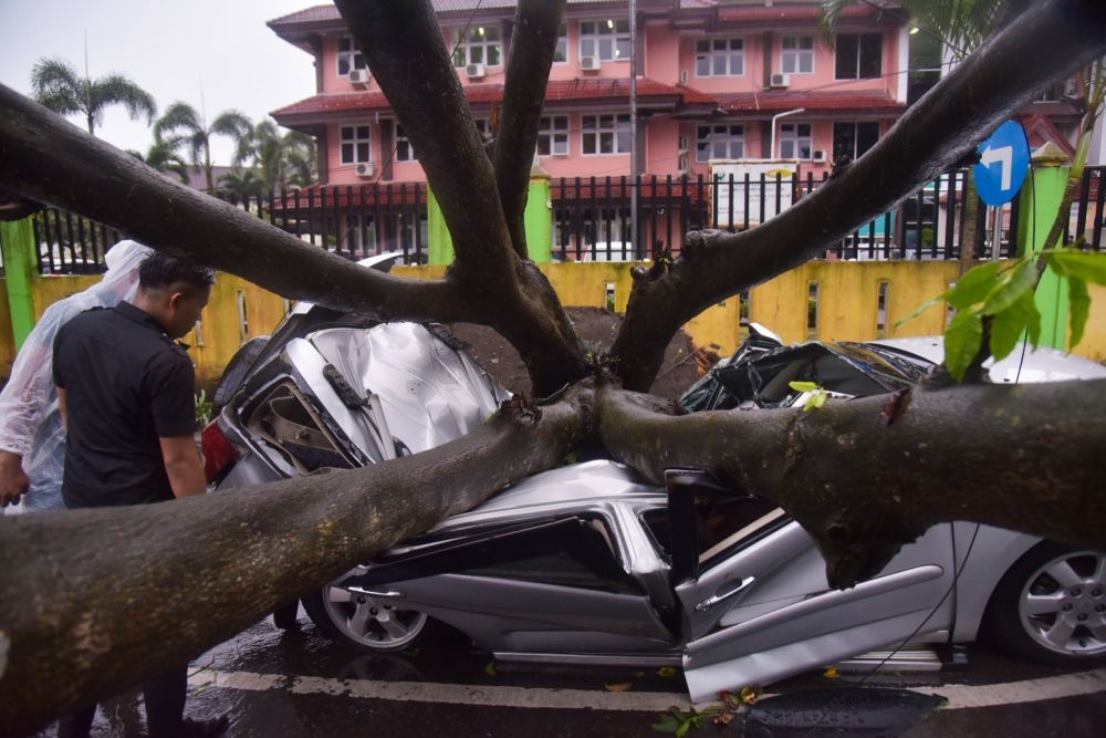 Pohon Timpa Angkot Saat Hujan, 2 Pegawai RSUP H Adam Malik Meninggal