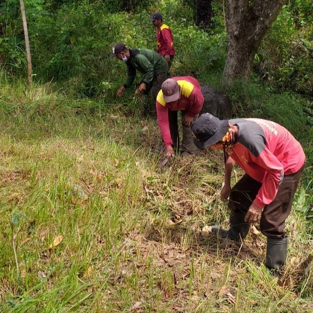 Rawan Longsor, Ratusan Warga Donorojo Diminta Hentikan Penebangan Pohon di Celering