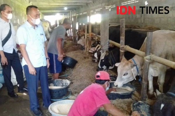 Idul Adha saat Pandemik Menggila, Pedagang Hewan Kurban Putar Otak