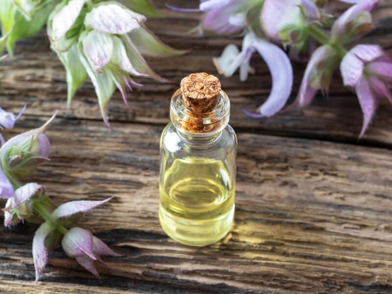 5 Manfaat Clary Sage Oil untuk Kesehatan, Mengurangi Stres!