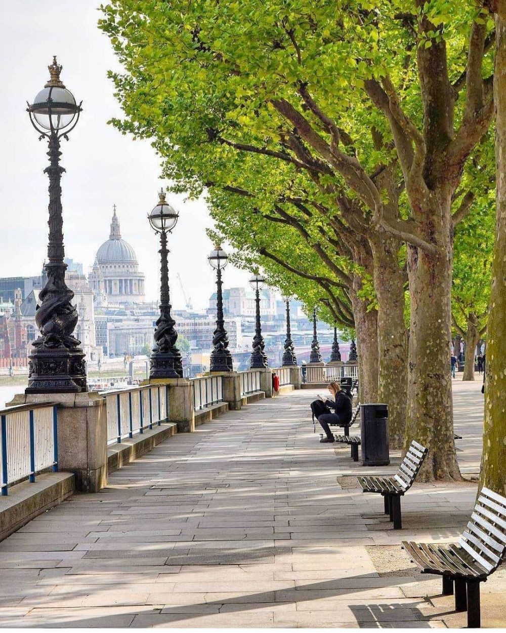 Jalanan Paling Keren di Dunia 2021, Penuh Pertokoan Estetik