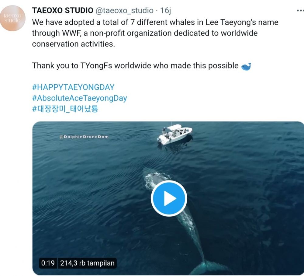 7 Project TyongF Untuk Ultah Taeyong, Ada yang Mengadopsi Paus