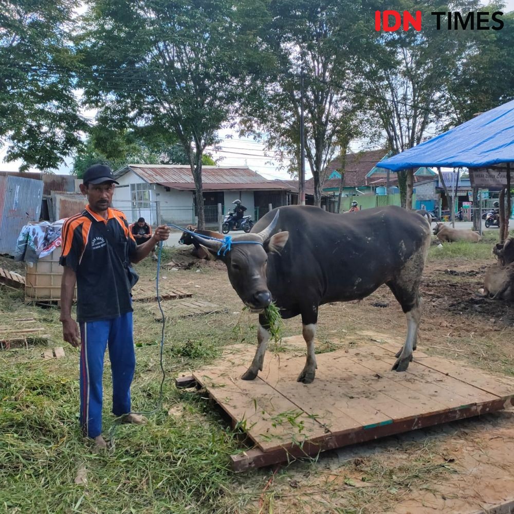 Marak Penjual Hewan Kurban, Pemkot Balikpapan Minta Terapkan Prokes