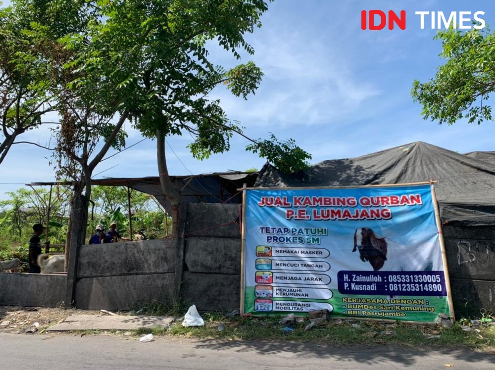 PPKM Darurat di Surabaya, Penjual Kambing Kurban Bersiap-siap Tak Laku