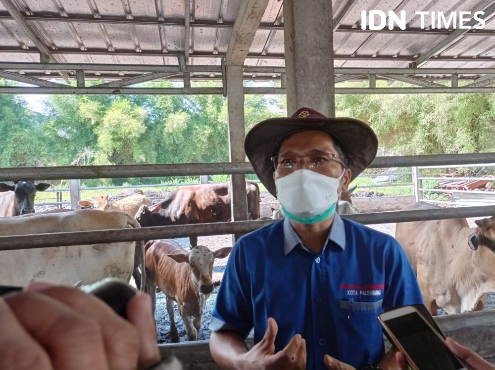 PDHI Sumsel Suntik Vaksin Rabies Hewan Peliharaan di Palembang 