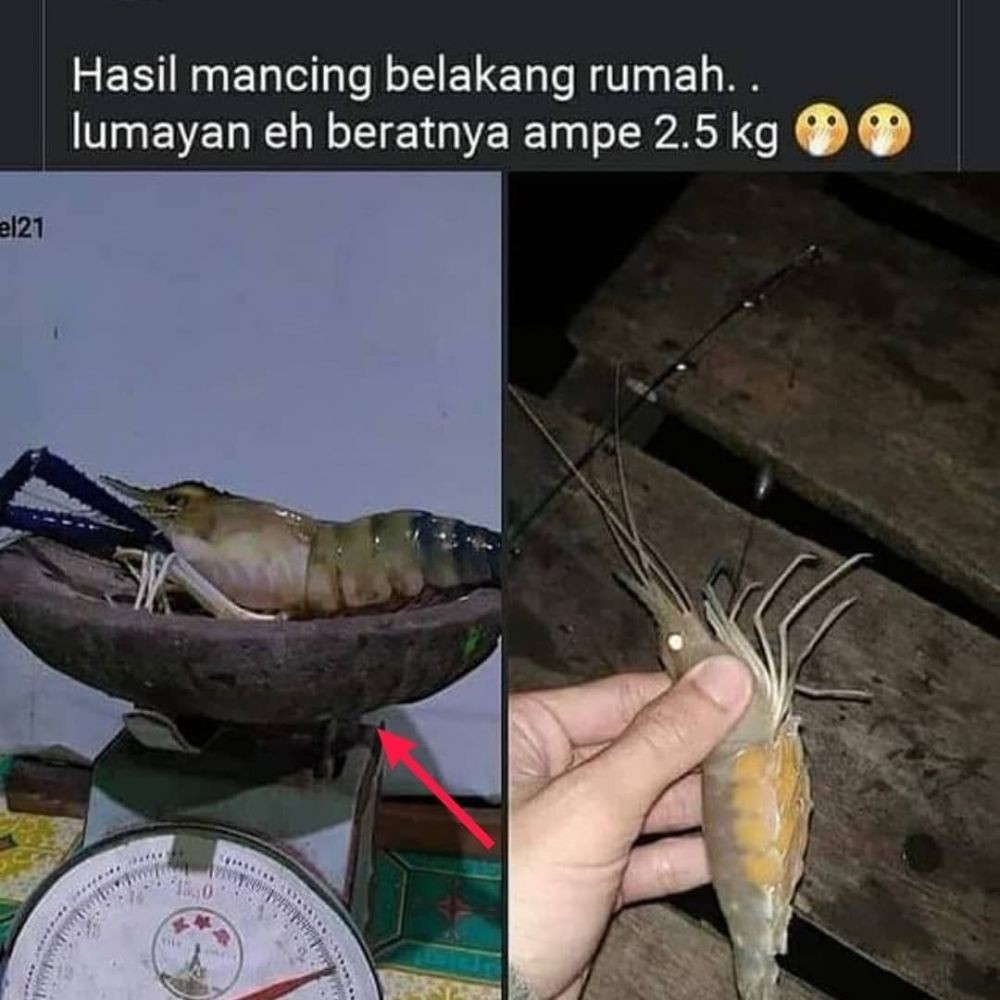 10 Momen Pantang Rugi dalam Setiap Situasi