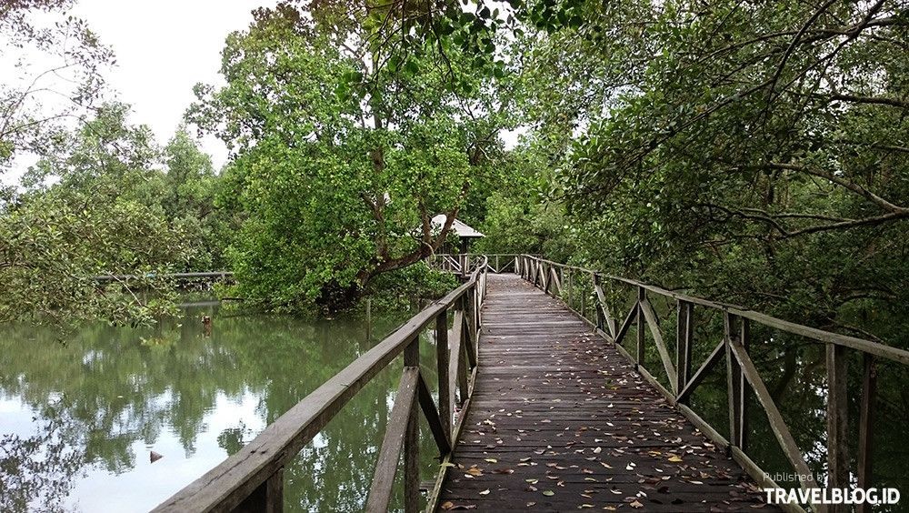 10 Tempat Wisata Penajam yang Wajib Disambangi setelah Pandemik