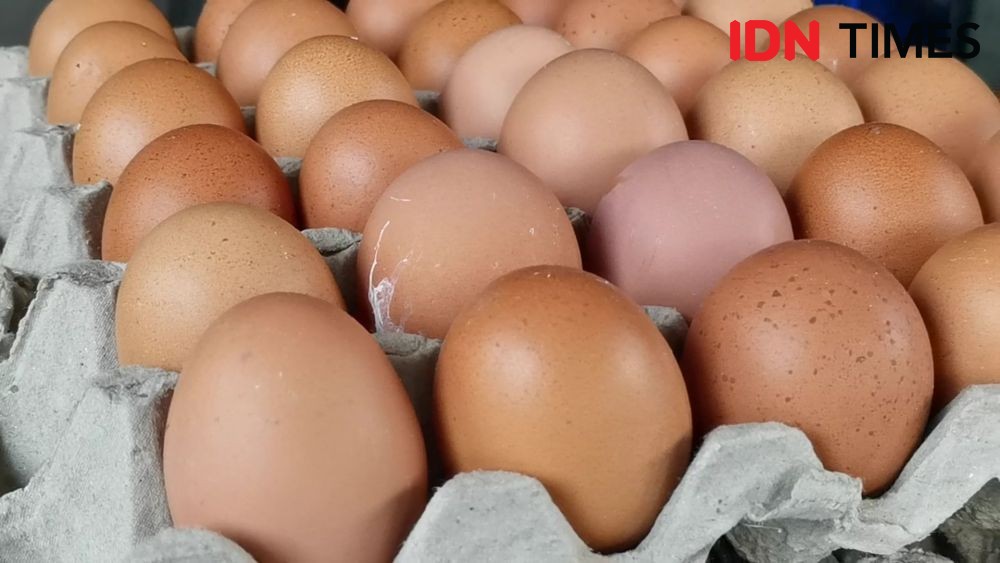 Peternak Ayam Soloraya Bagikan Ribuan Butir Telur Pada Nakes