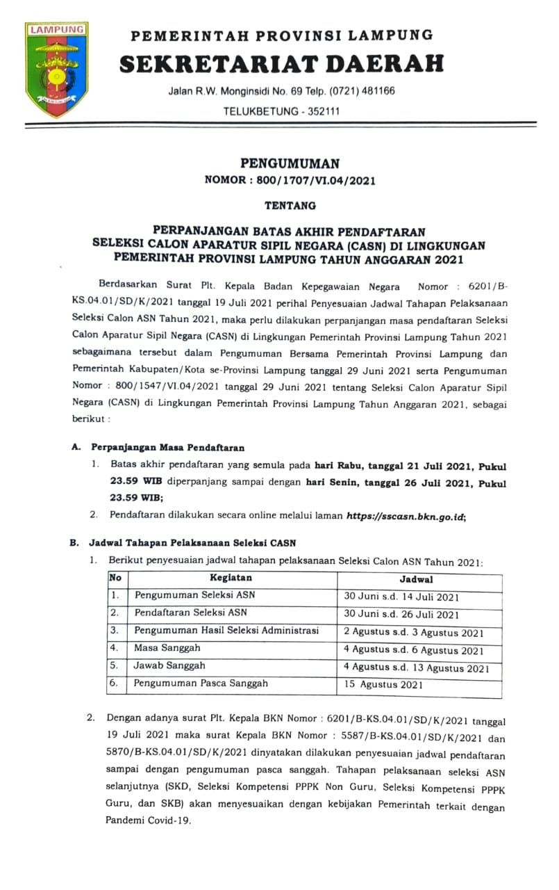Pendaftaran CASN 2021 Pemprov Lampung Diperpanjang hingga 26 Juli