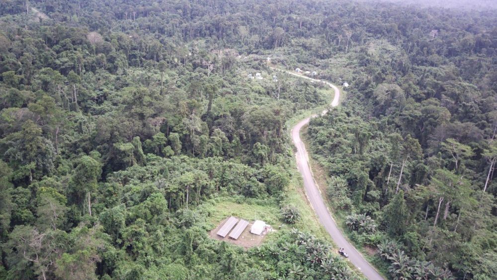 Pembangunan di Papua Harus Perhatikan Masyarakat Adat Sekitar