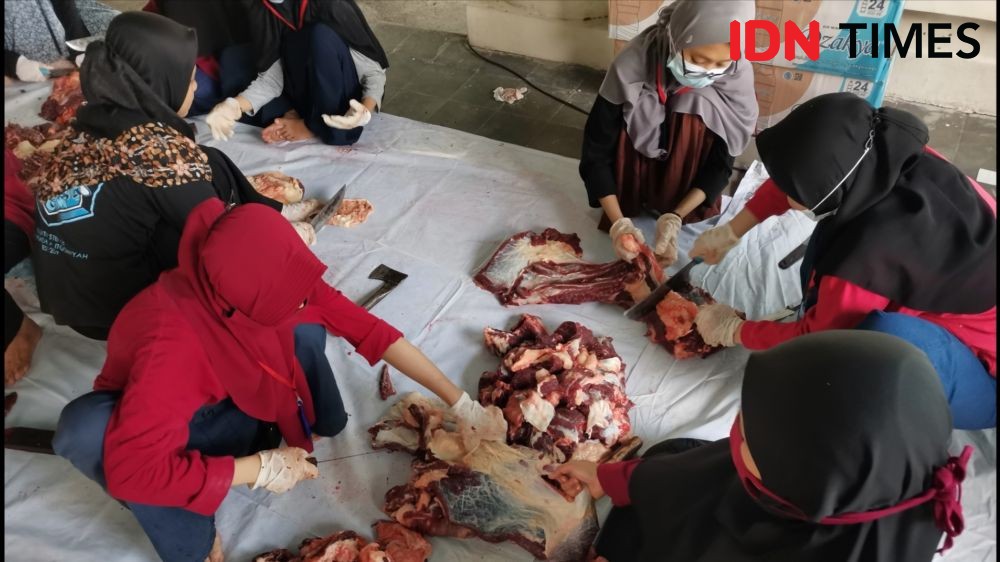 5 Orang Dikerahkan Jagal Sapi Jumbo Kurban Jokowi di Masjid Agung Solo