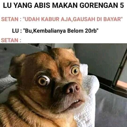 10 Meme Kocak Ekspresi Setan Melihat Kelakuan Manusia Ini Ngakak Abis