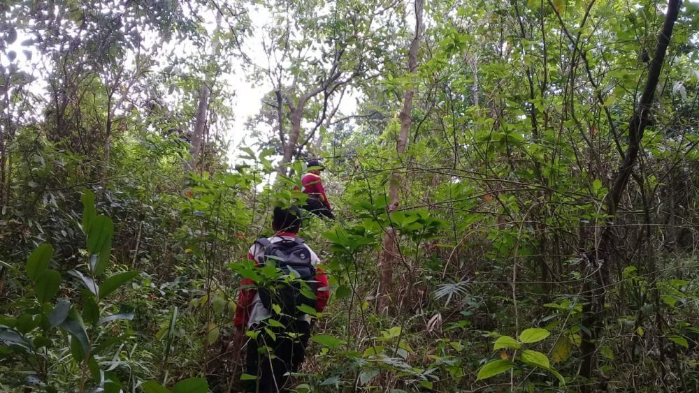 10 Potret Warga Jepara Lestarikan Hutan 4 Cagar Alam, Jadi Rangers